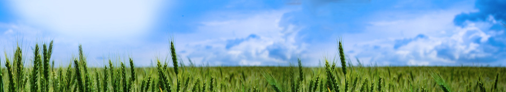 龍巖雙釜硬質(zhì)合金有限公司